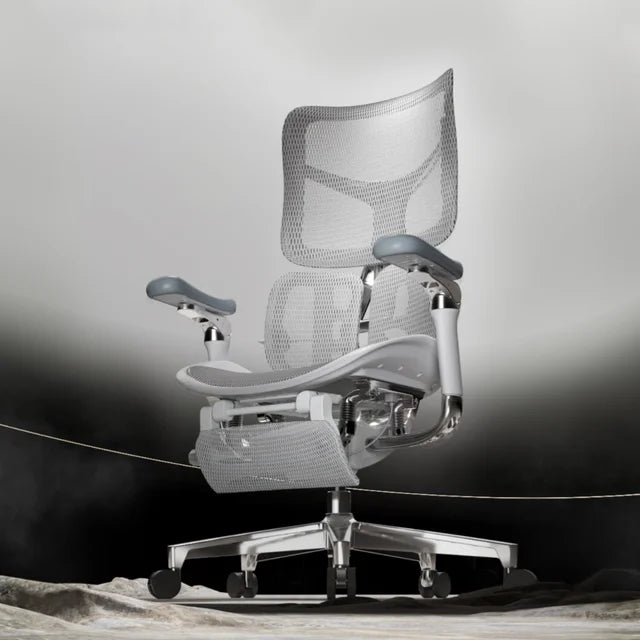 Ergonomic Office Chair