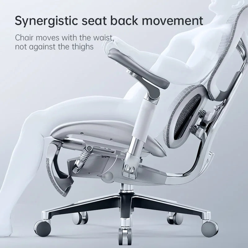 Ergonomic Office Chair